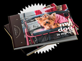 perro-libro-de-fotos