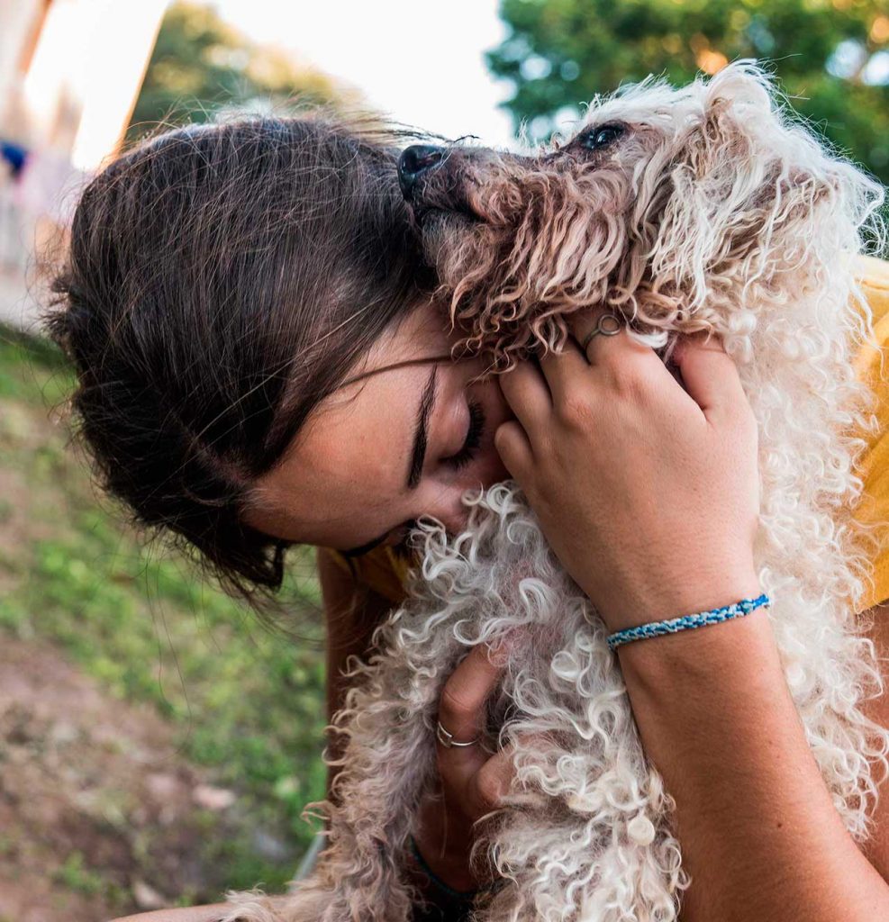 perro-caniche-abrazando-jovencita