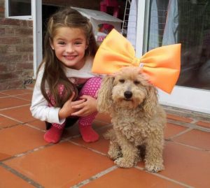 perro-caniche-con-niña